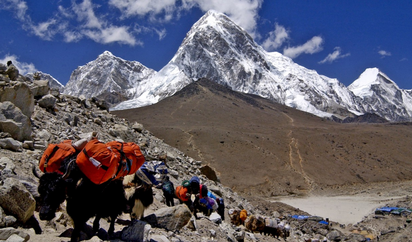 सगरमाथामा अहिलेसम्मकै धेरै आरोही