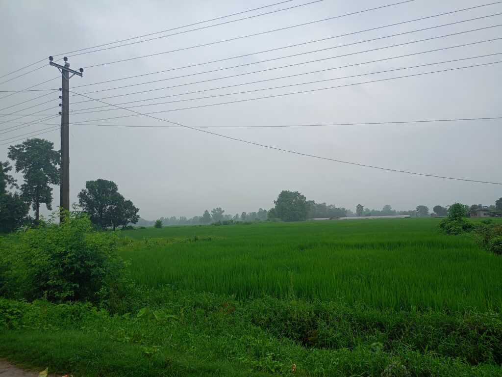 आज यी स्थानमा हल्कादेखि मध्यम वर्षाको सम्भावना