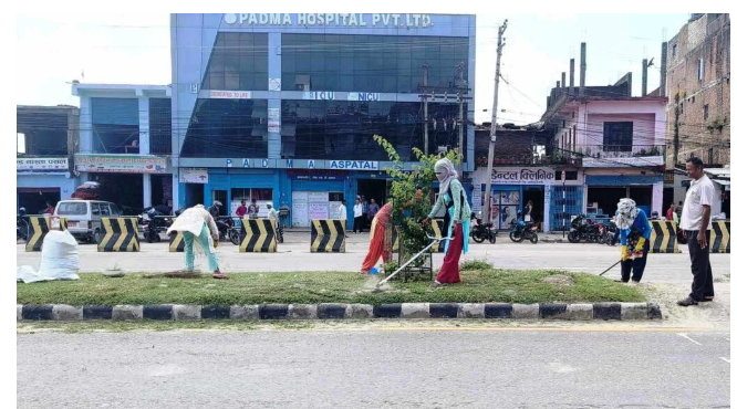 धनगढी–अत्तरिया सडकको घाँस मिलाउने काम सुरु