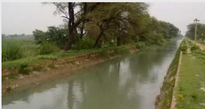 कैलालीका एक हजार किसान आफैँ नहर सफा गर्न जुटे