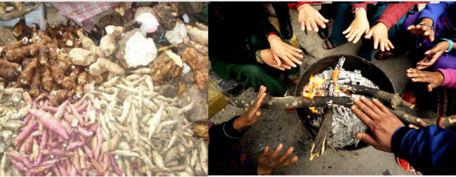 सुदूरपश्चिममा आज पुस १५ तथा ठुलीरात धुमधाम संग मनाइदै