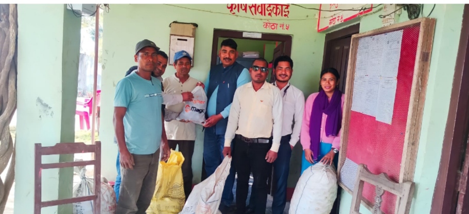 बर्दगोरिया ६ का किसानलाई ५० प्रतिशत अनुदानमा बेमौसमी आलुको बिउँ वितरण कार्य सुरु