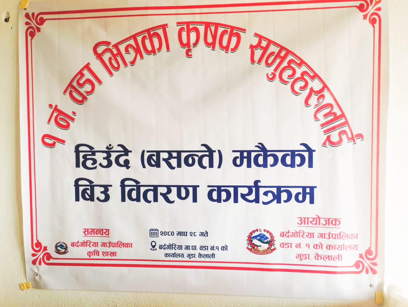 बर्दगोरियाको वडा नम्बर १ का कृषक समुहलाई निशुल्क हिउँदे (बसन्ते) मकैको बिउ वितरण