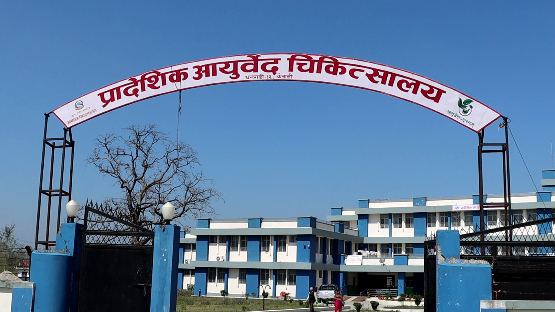 प्रादेशिक आयुर्बेदिक चिकित्सालय धनगढी बाट ४९ हजार बढीले  लिए सेवा