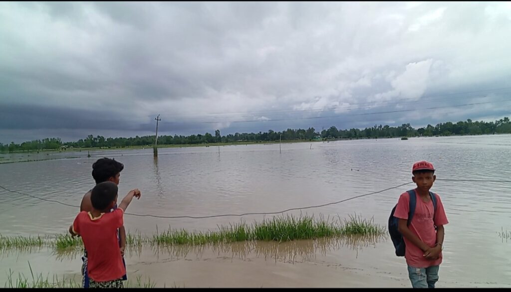 कैलाली र कञ्चनपुरमा अविरल वर्षा, सतर्कता अपनाउन आग्रह