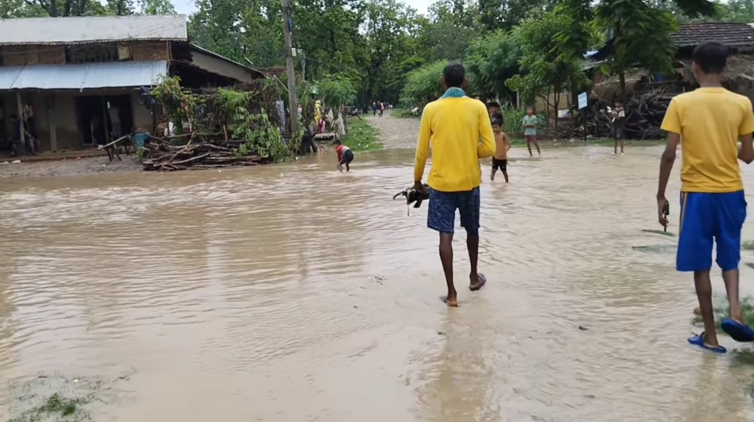 कैलालीमा बाढीले सात घर डुबानमा