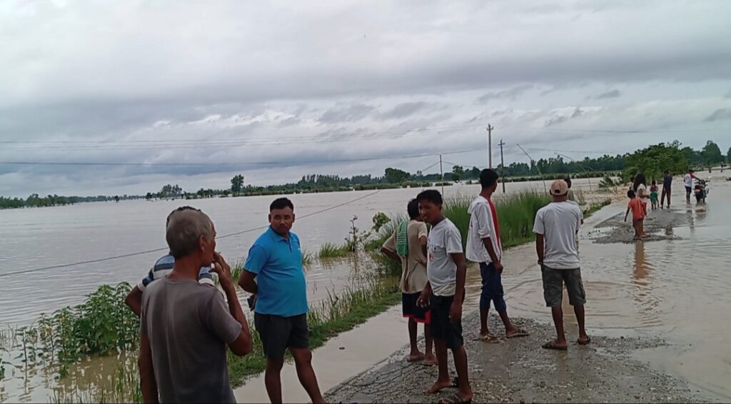 भजनीको ठेकिपुर रोड क्षेत्रमा डुबान