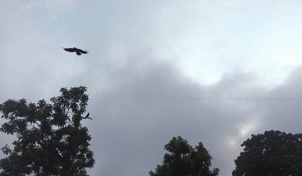 आज पहाडी भूभागमा बदली र वर्षाको सम्भावना