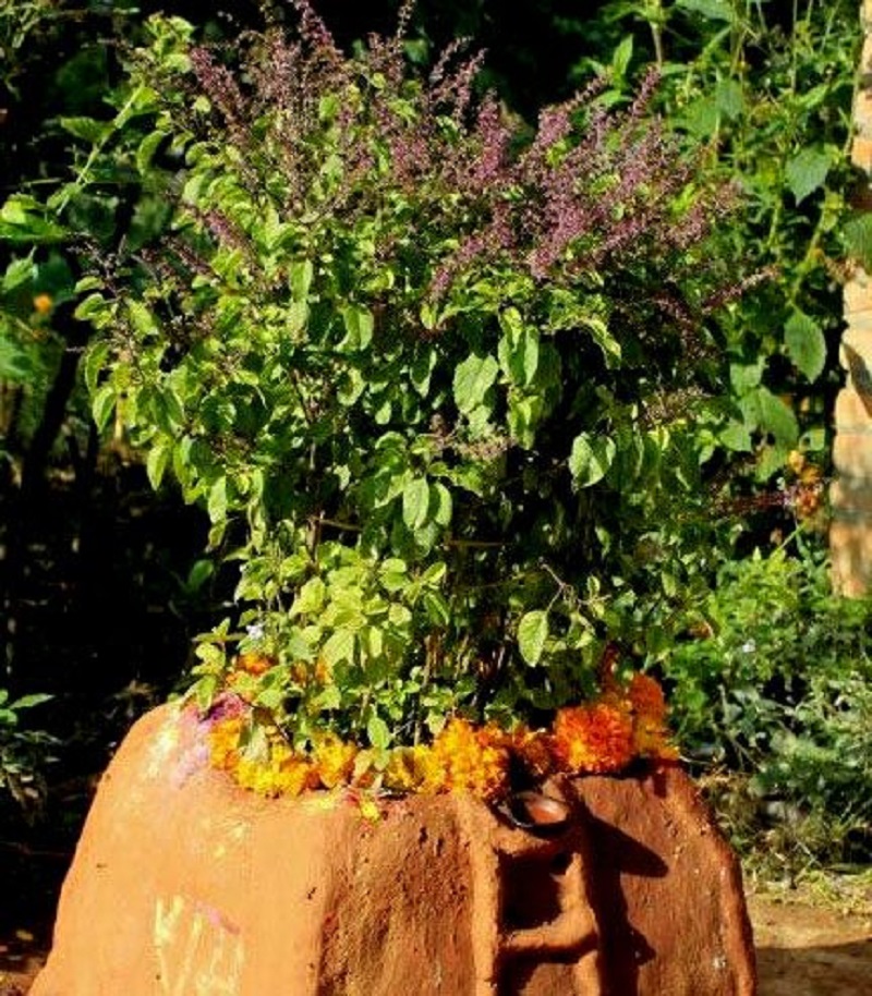 आज हरिबोधिनी एकादशी, नारायण मन्दिरहरुमा दर्शनार्थीको घुइँचो