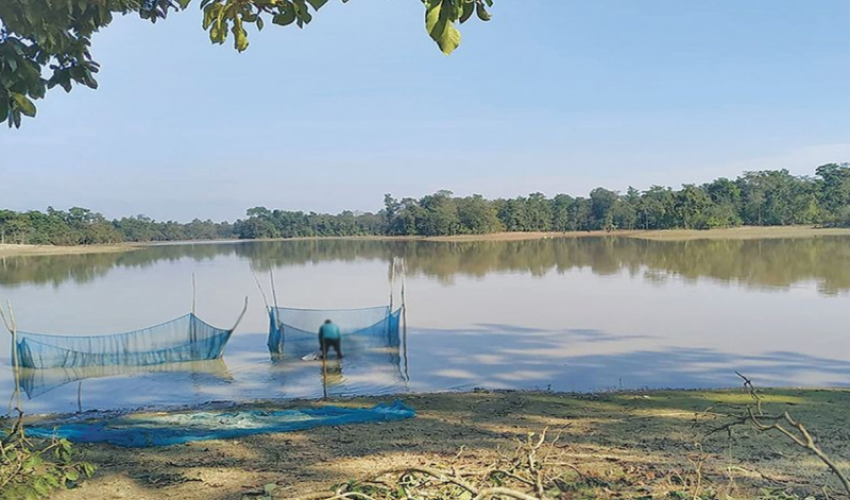 ६३ बिघा क्षेत्रफलमा फैलिएको पुरैना ताललाई एसियाकै ठुलो ताल बनाइने