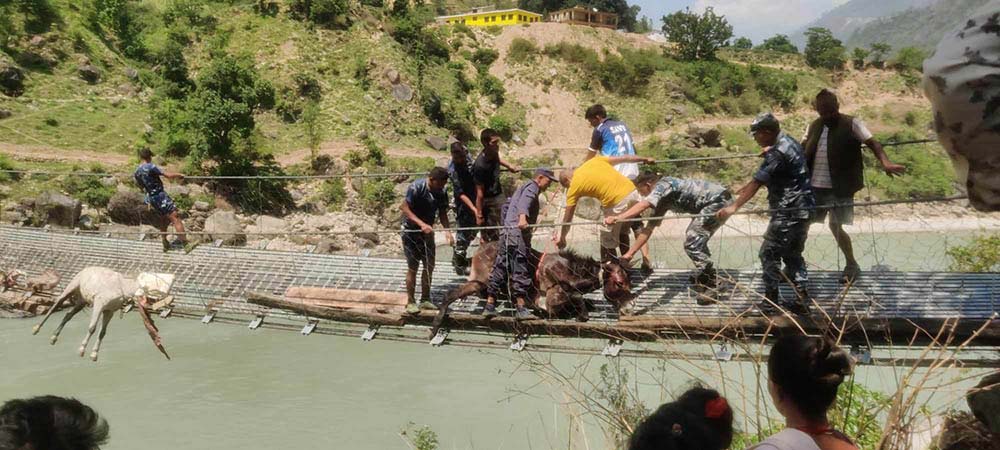 अछाम र दैलेखबिचको कर्णाली नदीको पुल मर्मत नहुँदा आवागमनमा सास्ती