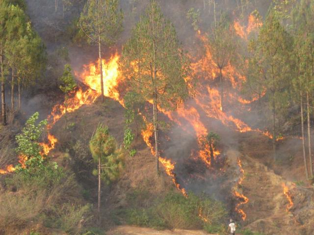 डढेलो फैलने क्रम तीव्र, तीन महिनामै एक हजार आठ सयभन्दा धेरै डढेलो