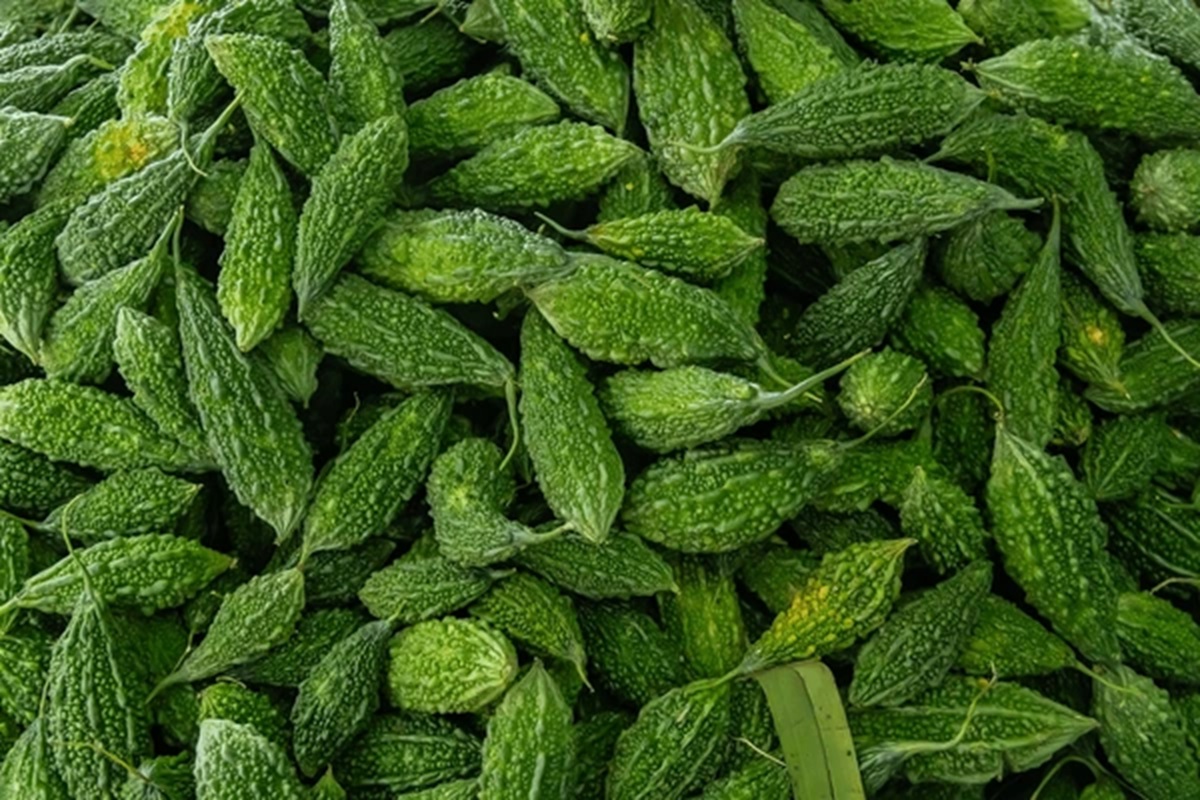 तिते करेलामा भेटियो ७५ प्रतिशत विषादी