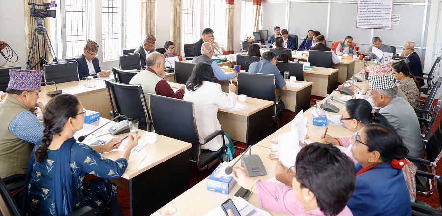 संवैधानिक परिषद्लाई अनिर्णयको बन्दी बनाउन हुँदैन : मन्त्री गुरुङ
