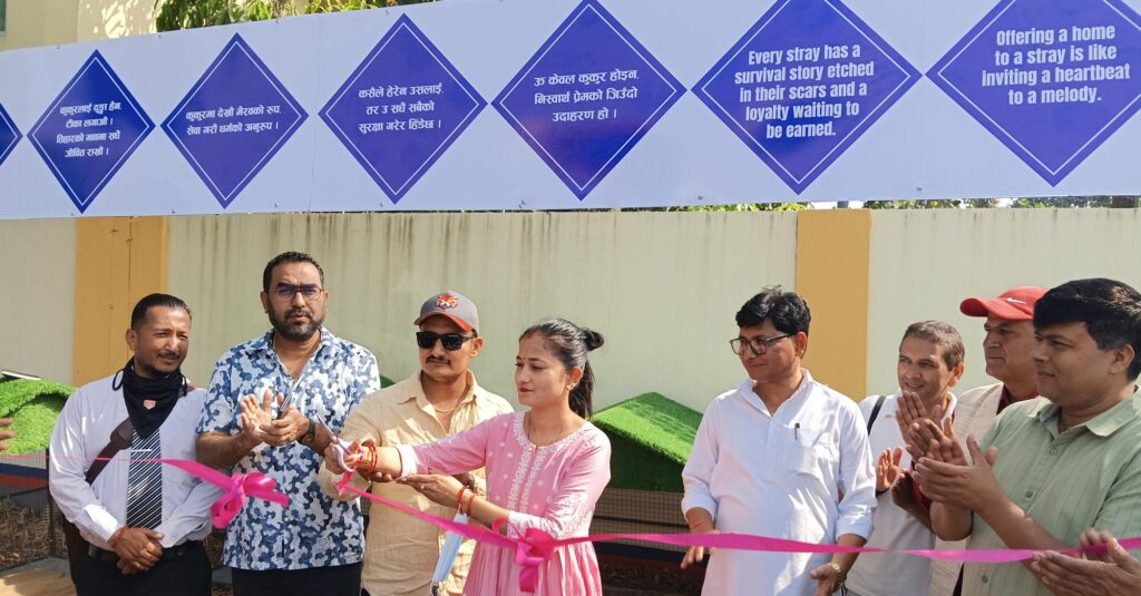 वडाध्यक्ष शाहीले गरे विवाह खर्च कटाएर पशुहरूको लागि उद्धार केन्द्र स्थापना