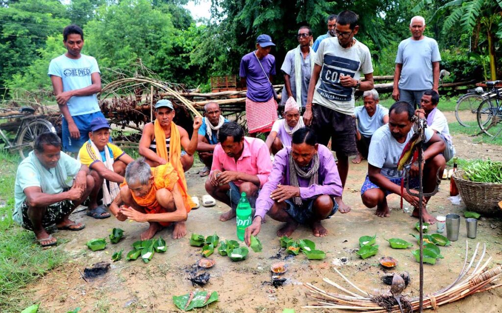 सर्पदंशको उपचार गर्न नगहर गुरुवाको भर पर्ने परिपाटी अझै कायम
