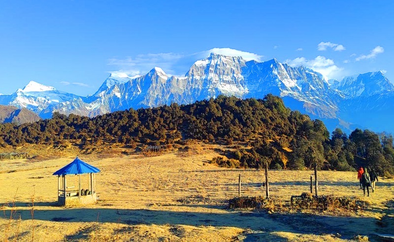 सडक नखुल्दा जलजला पुग्न पाएनन् पर्यटक