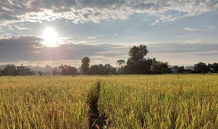 सुदूरपश्चिममा आजदेखि मौसम सुधार