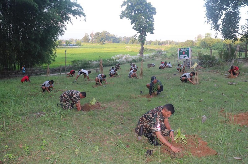 प्रकृति संरक्षणमा ९ हजार सेना परिचालन