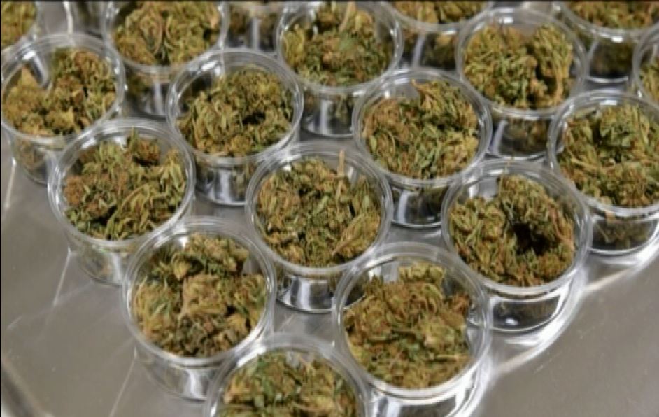 ‘पिकअपभ्यान’सहित १७६ किलो गाँजा बरामद