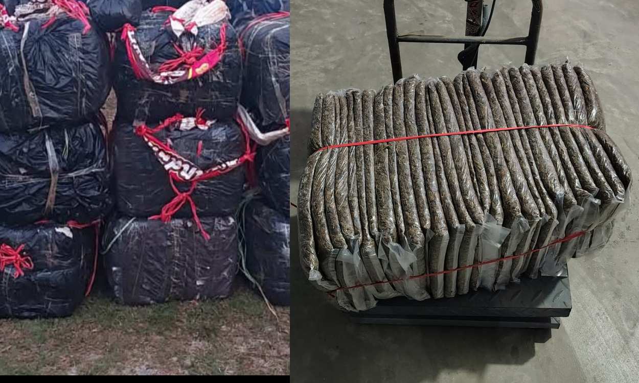 सुनसरी र मोरङबाट ३ सय ३ किलो गाँजा बरामद, एक जना पक्राउ