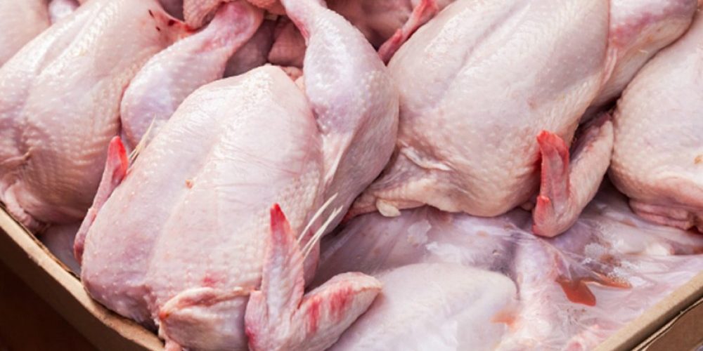 मरेको ब्रोइलर कुखुराको मासु खाँदा दुई बालकको मृत्यु